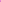 CANDY SHELL TINTA HUELLA BLOOMSHEL CJ A104