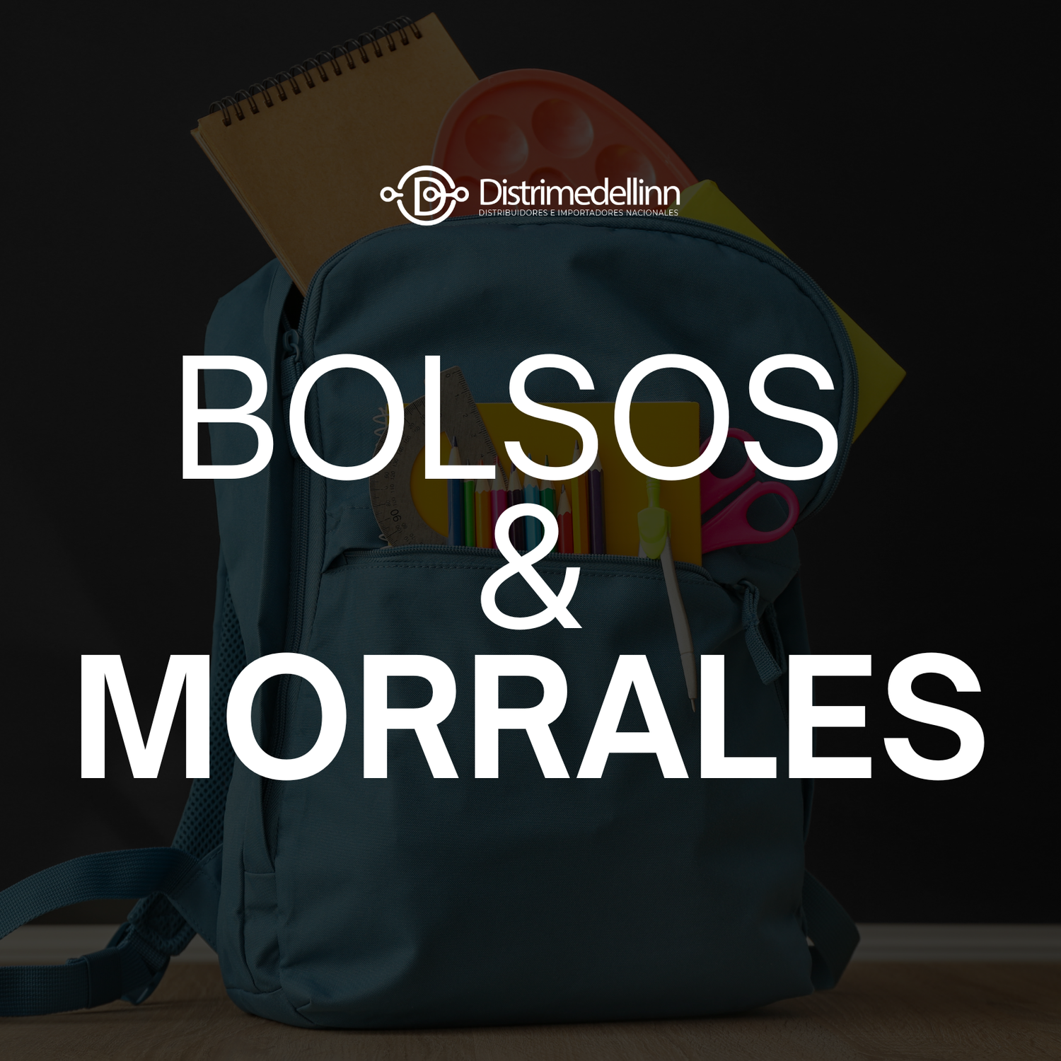 Bolsos y morrales