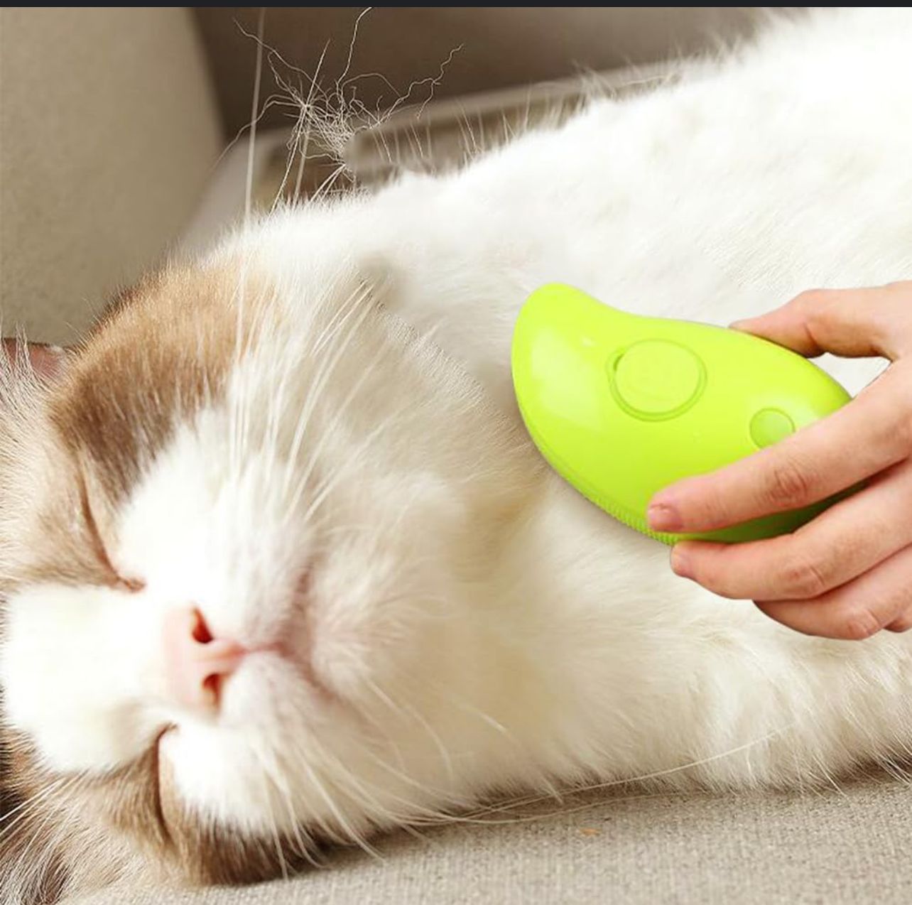 Cepillo vaporizador para gatos  CJ  C28