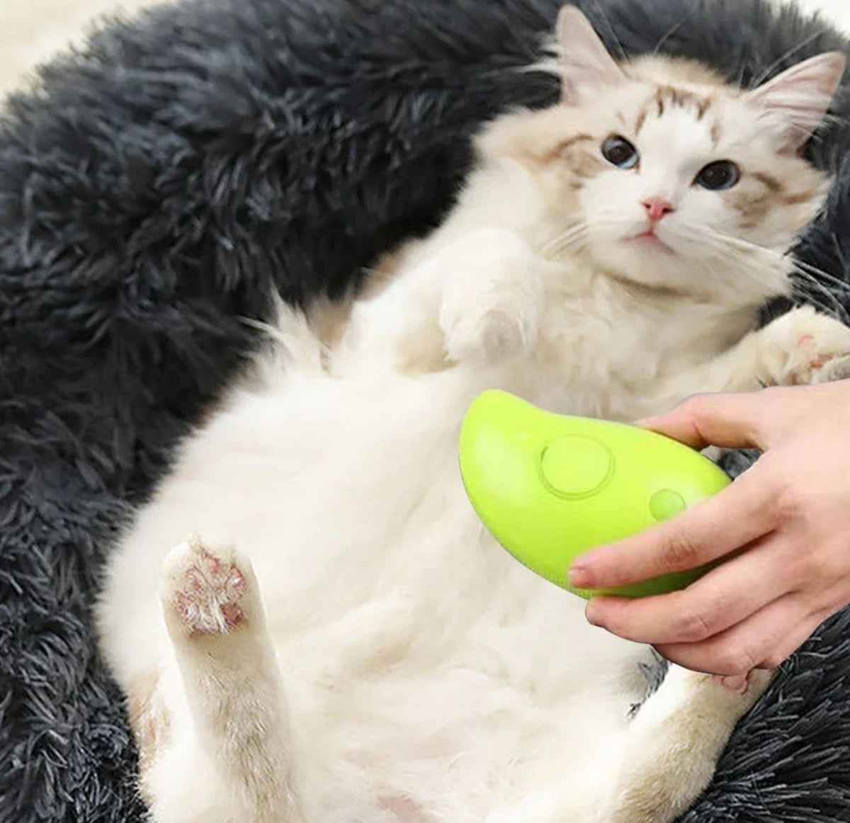 Cepillo vaporizador para gatos  CJ  C28