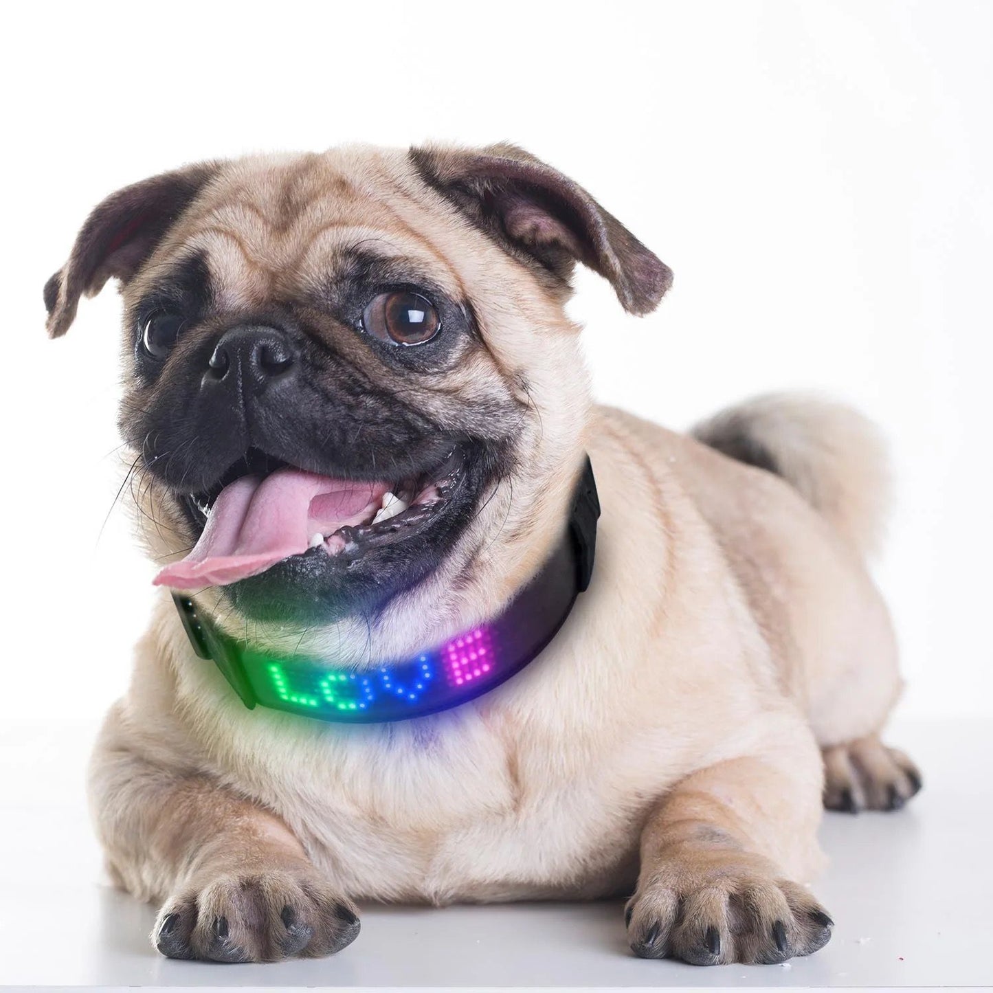 collar para perros led
