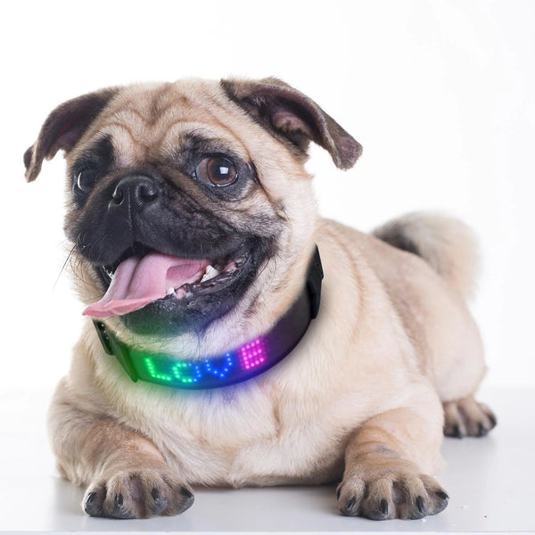 collar para perros led