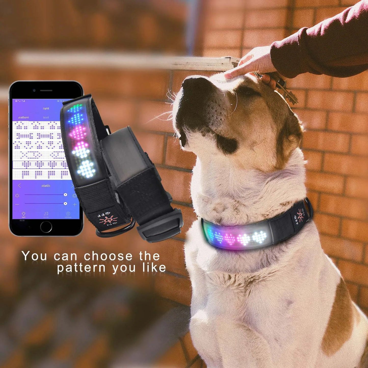 collar para perros led