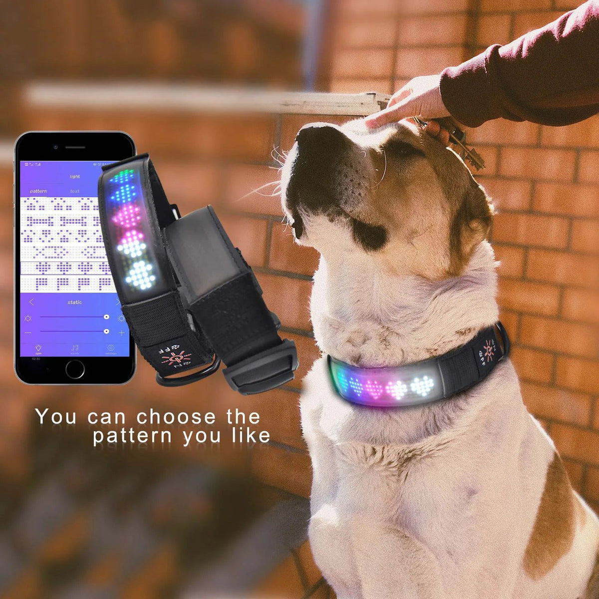 collar para perros led