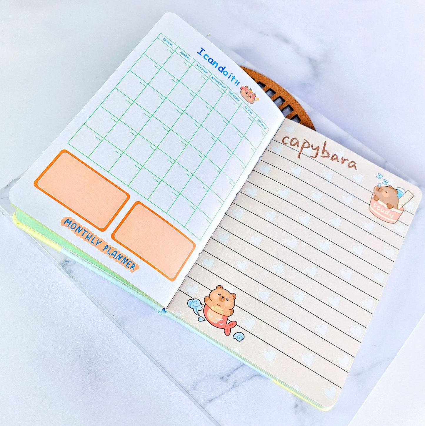 LIBRETAS DE CAPYBARA  CJ D15