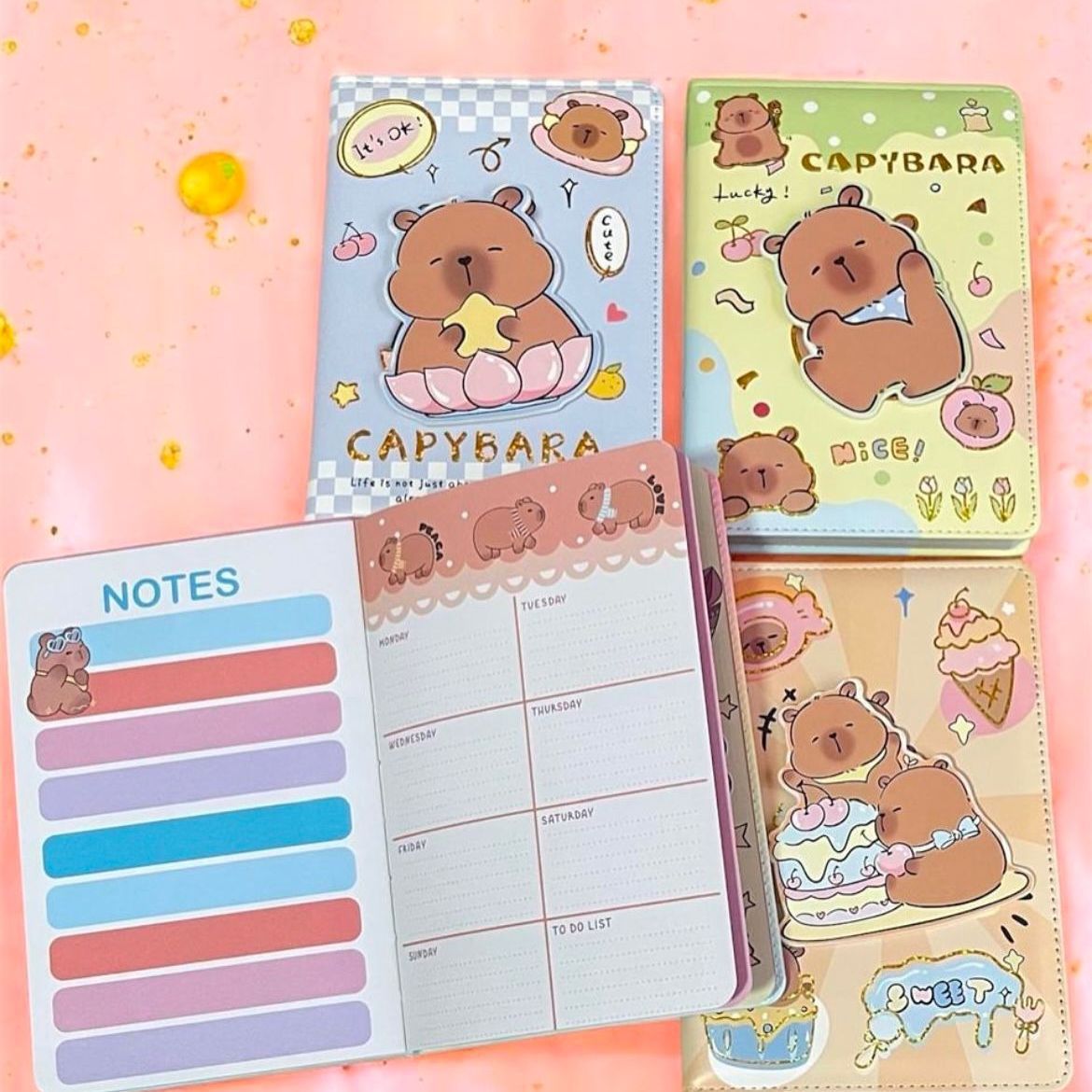 LIBRETAS DE CAPYBARA  CJ D15