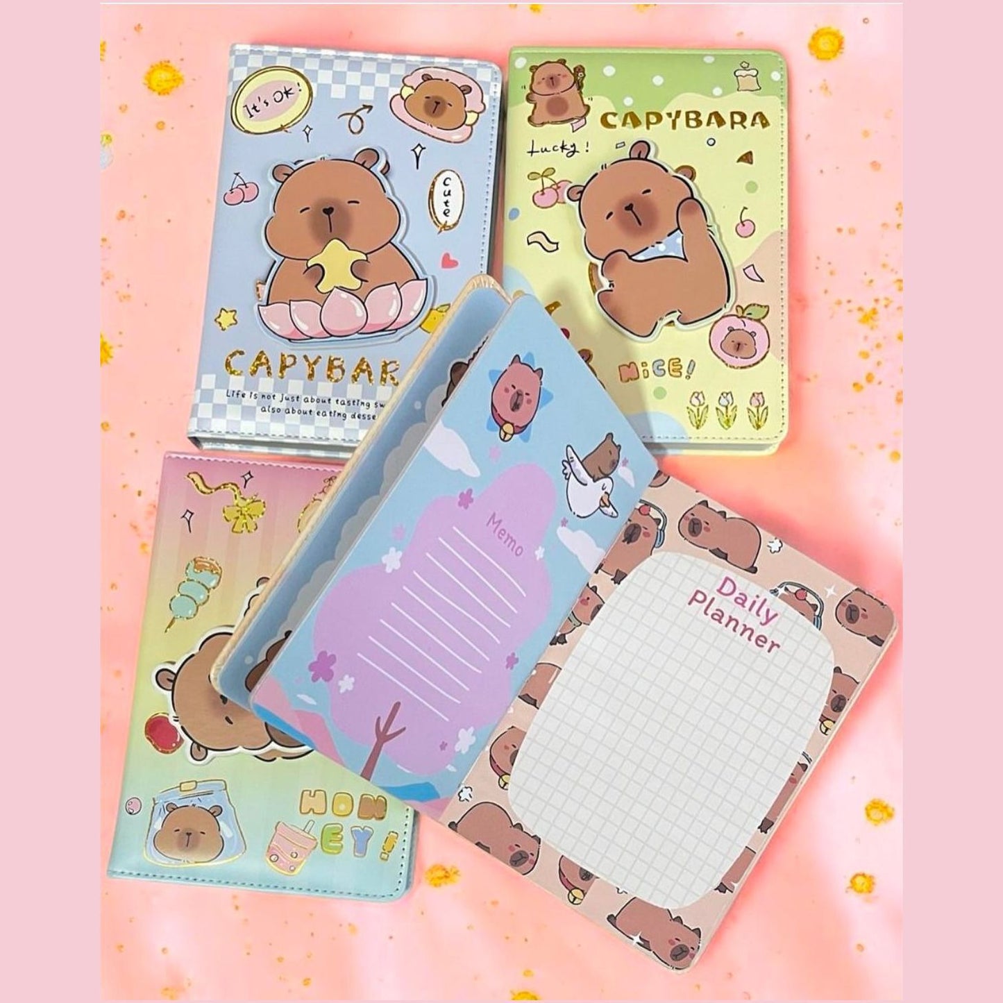 LIBRETAS DE CAPYBARA  CJ D15
