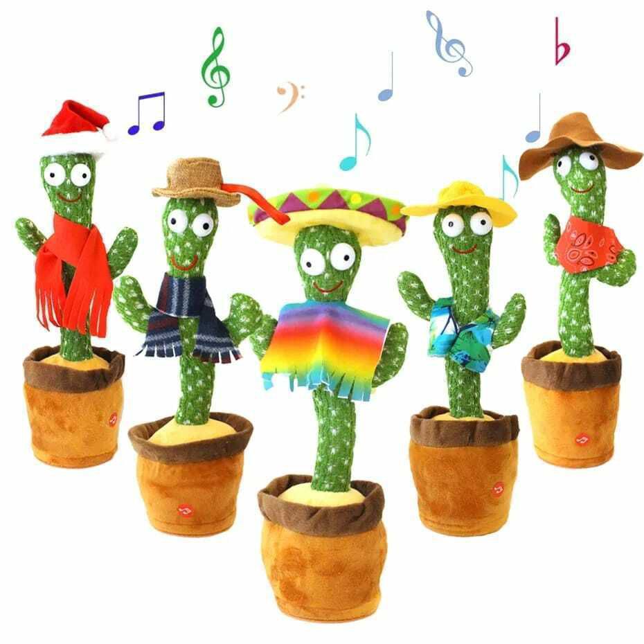 cactus bailarin