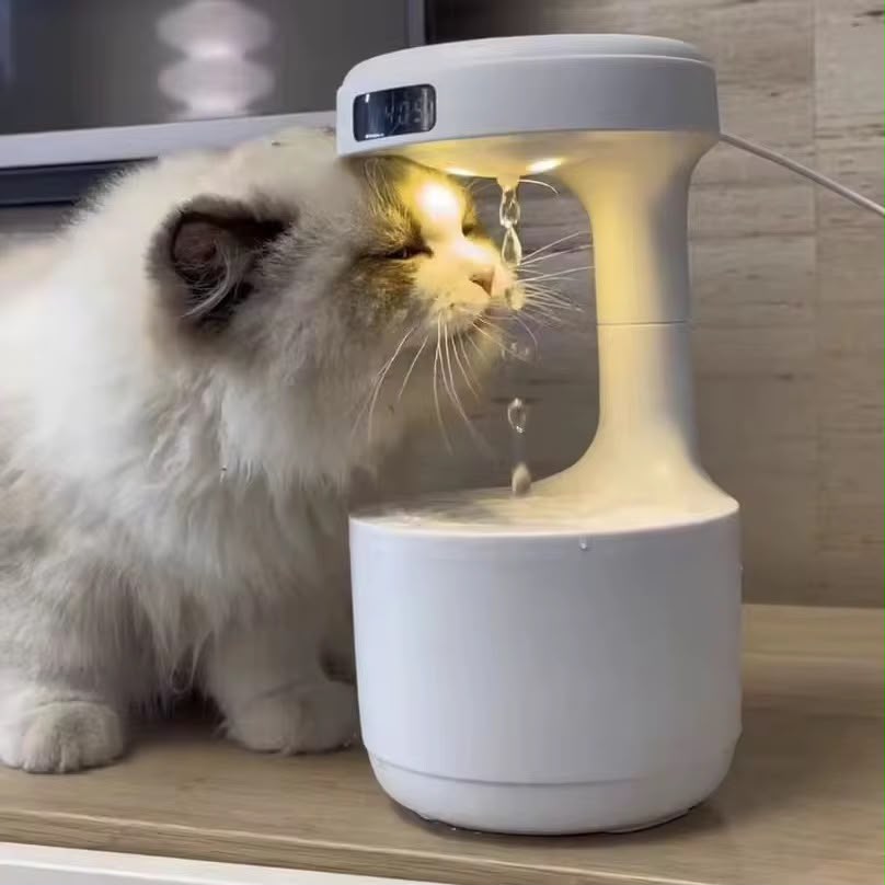 humidificador gotas de lluvia